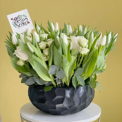 Tulips Delight(فرحة التوليب)