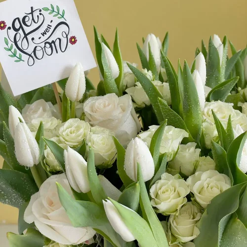 Tulips Delight(فرحة التوليب)