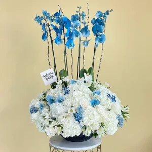 Elegant Blue(أزرق أنيق)