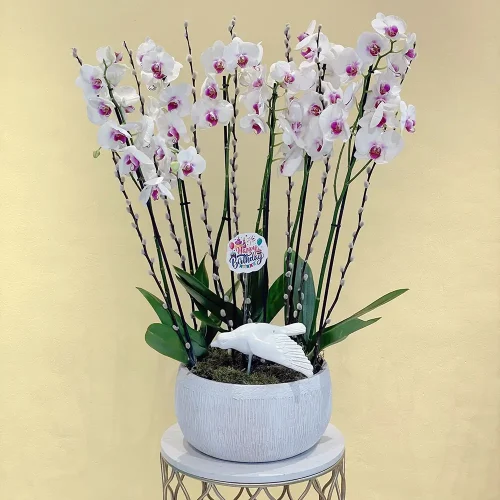 Bloom Red Lips(أحمر شفاه بلوم)