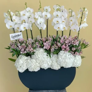 Luxury Bloom (ازدهار فاخر)