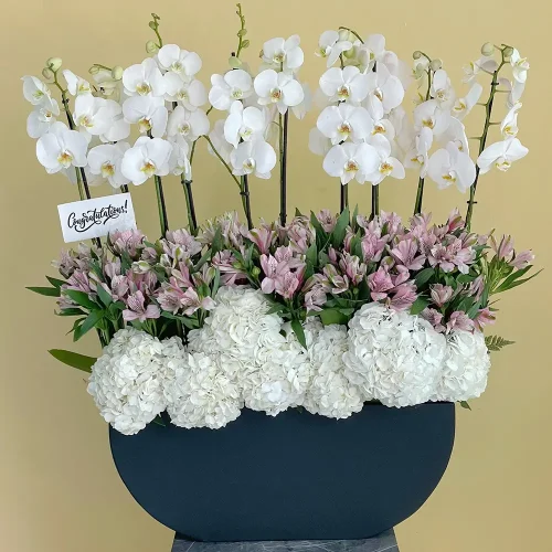 Luxury Bloom (ازدهار فاخر)