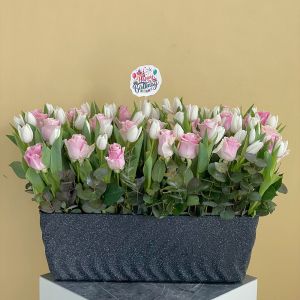 Tulips Delight-2 (فرحة التوليب-2)