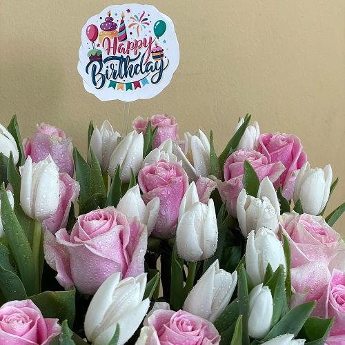 Tulips Delight-2 (فرحة التوليب-2)