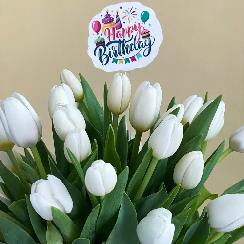 Luxury Tulips-1 (لكسر تلبس-1)