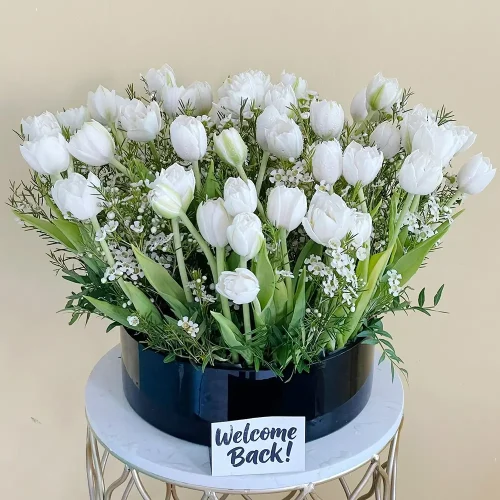 senmartin (سينمارتن)