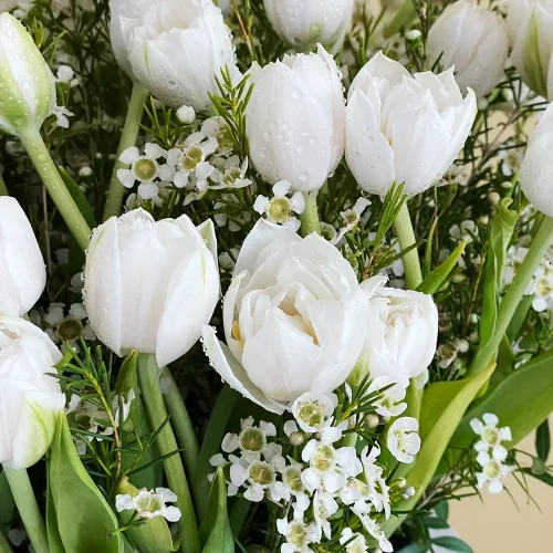 senmartin (سينمارتن)