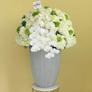 Bloom's Wedding Ceremony (حفل زفاف بلوم)