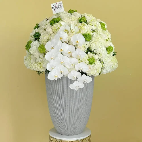 Bloom’s Wedding Ceremony (حفل زفاف بلوم)