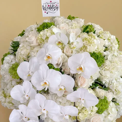 Bloom’s Wedding Ceremony (حفل زفاف بلوم)