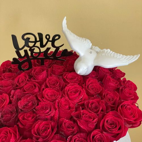 Roses Are Red (روزيز ار ريد)