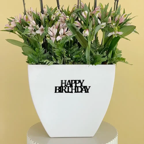 Sweet Pink-1 (وردي حلو-1)