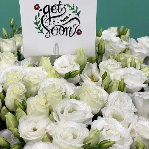 Lisianthus Garden(حديقة ليسيانثوس)