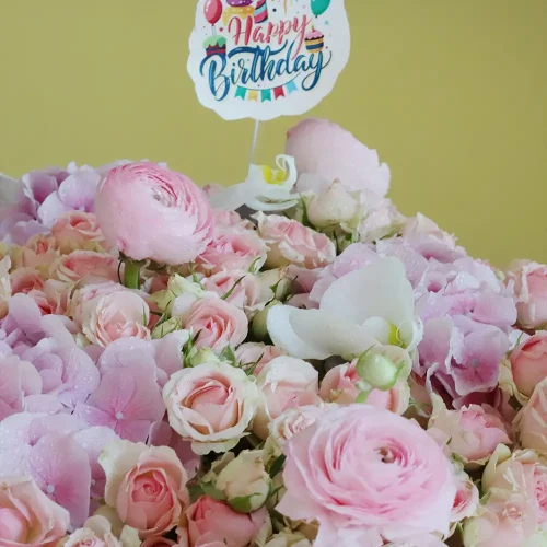 Pinkie Garden(حديقة بينكي)