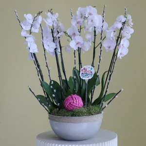 Applause(تصفيق)