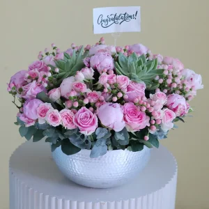 Pinkie Garden 3(حديقة بينكي 3)