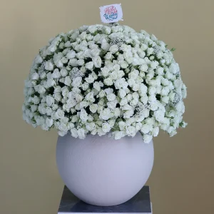 White Round Bouquets(باقات بيضاء مستديرة)