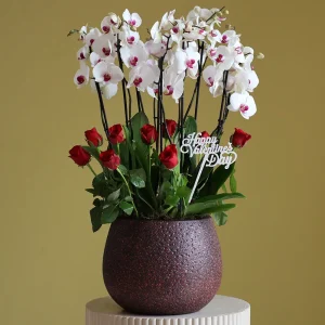 Valentines Bloom(أزهار عيد الحب)