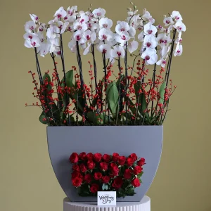 Love Bloom(يزهر الحب)