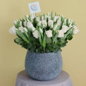 Fresh Tulips (زهور التوليب الطازجة)
