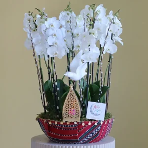 Ramadan White(رمضان الأبيض)
