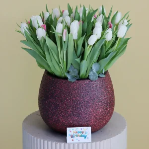 Classic Tulips(زهور التوليب الكلاسيكية)