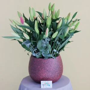 Elite Pink Casablanca(إيليت بينك كازابلانكا)