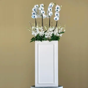 Fluffy Orchid(فلافي أوركيد)