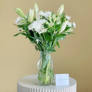Ameliorate(تحسين)