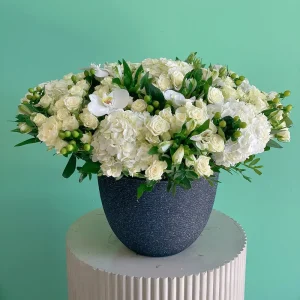 White Bliss(السعادة البيضاء)