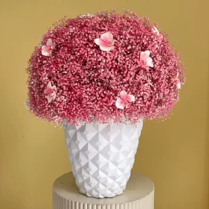 Sweaty Pink (سويتي بينك)