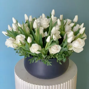 Tulips Delight-2(فرحة التوليب-2)