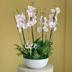 Luxurious Lite Pinks(ألوان وردية فاتحة فاخرة)