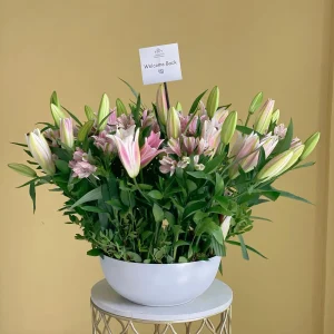 Bloom Embrace-2 بلوم امبريس-(2)