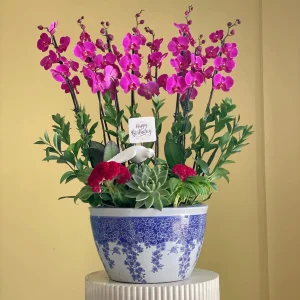 Sweet Purple(سويت بيربل)