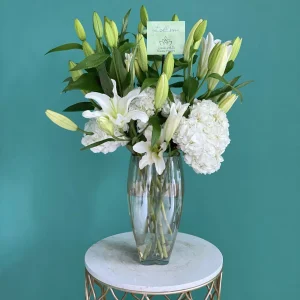 Ivory Lilyrose(ايفوري ليلي روز)