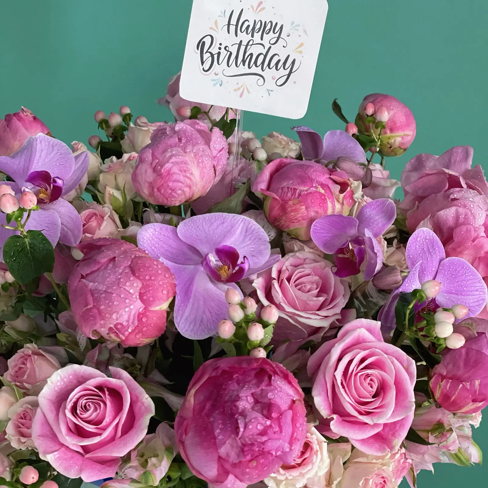 Fuchsia Peony Belle(حسناء الفاوانيا الفوشية)